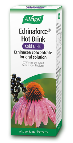 A Vogel Echinaforce Hot drink 100 ml